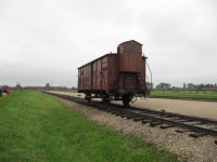 /album/galeria-12-auschiwitz-polonia/bild-461-jpg/